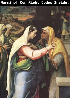 Sebastiano del Piombo The Visitation (mk05)